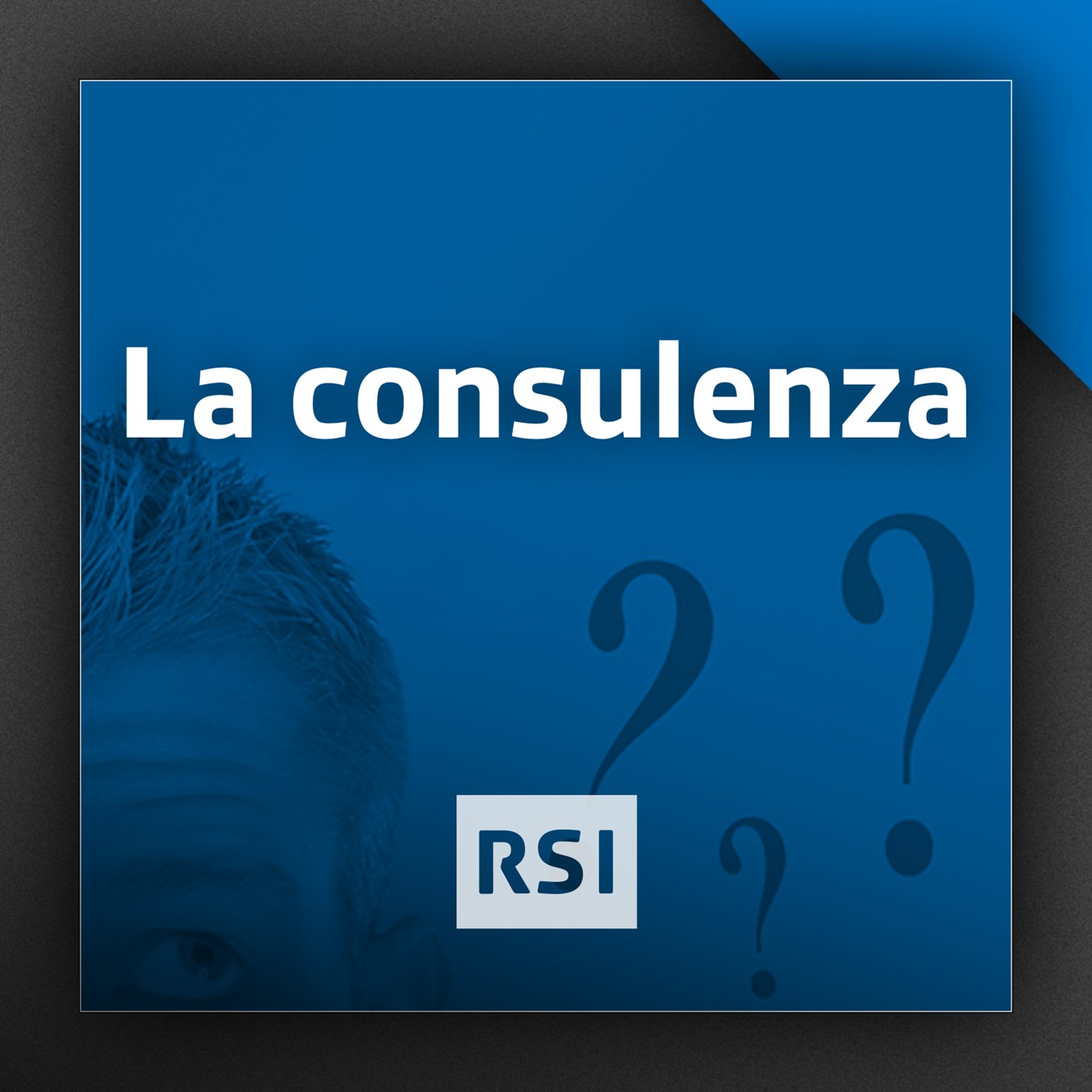 La consulenza